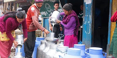 dairy-2(S).jpg