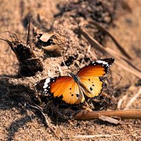 Langfit-conflict-averse-blog