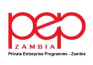 pepzambia-logo.JPG