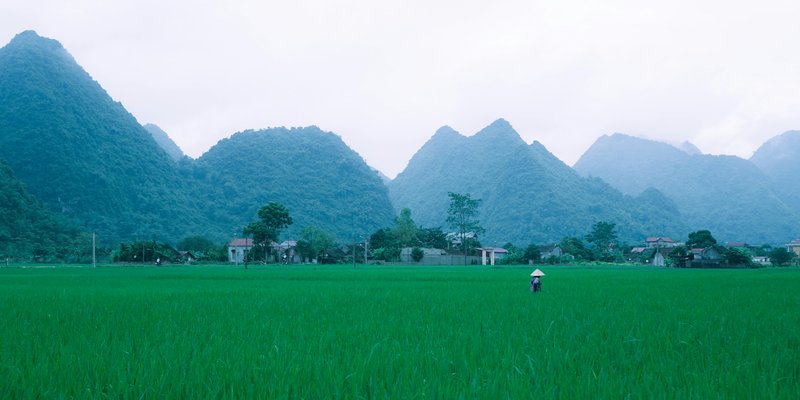 mountain landscape