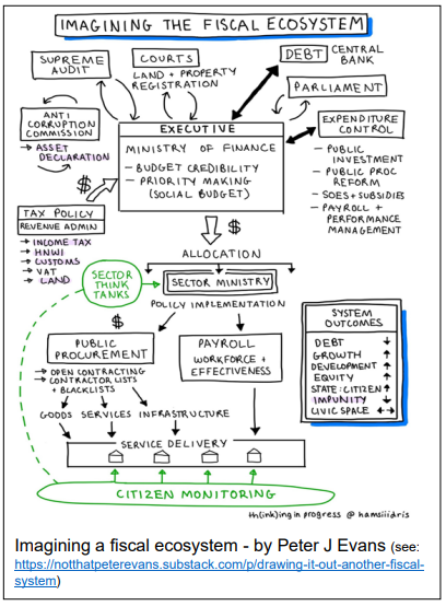 ImaginingAfiscalEcosystem_PeterJEvans
