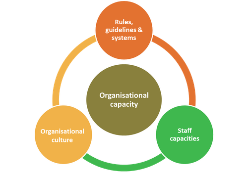 Organisational-capacity.png