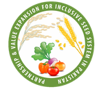 pave-logo.png
