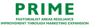 prime-logo.png