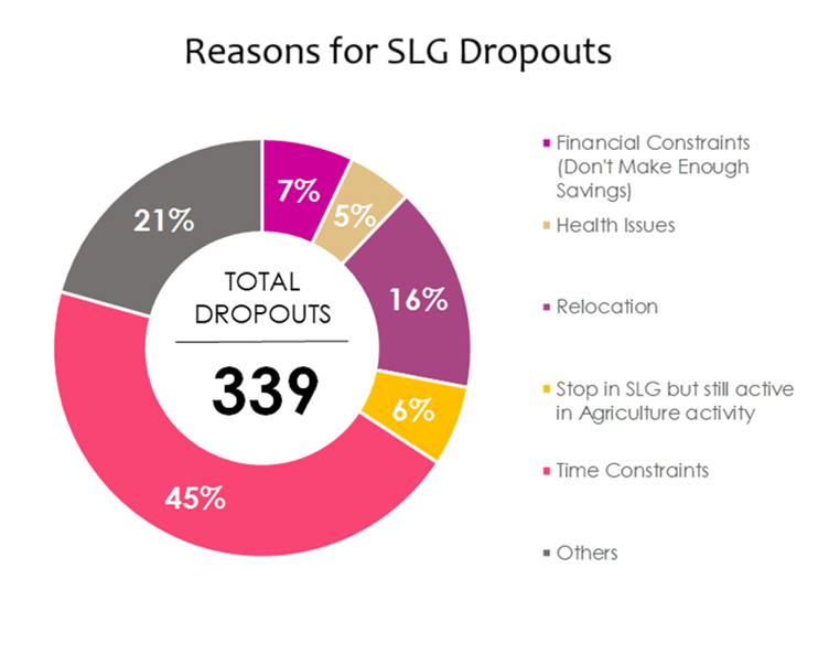 slg-dropouts-HollyK-blog.png