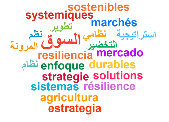 wordcloud2